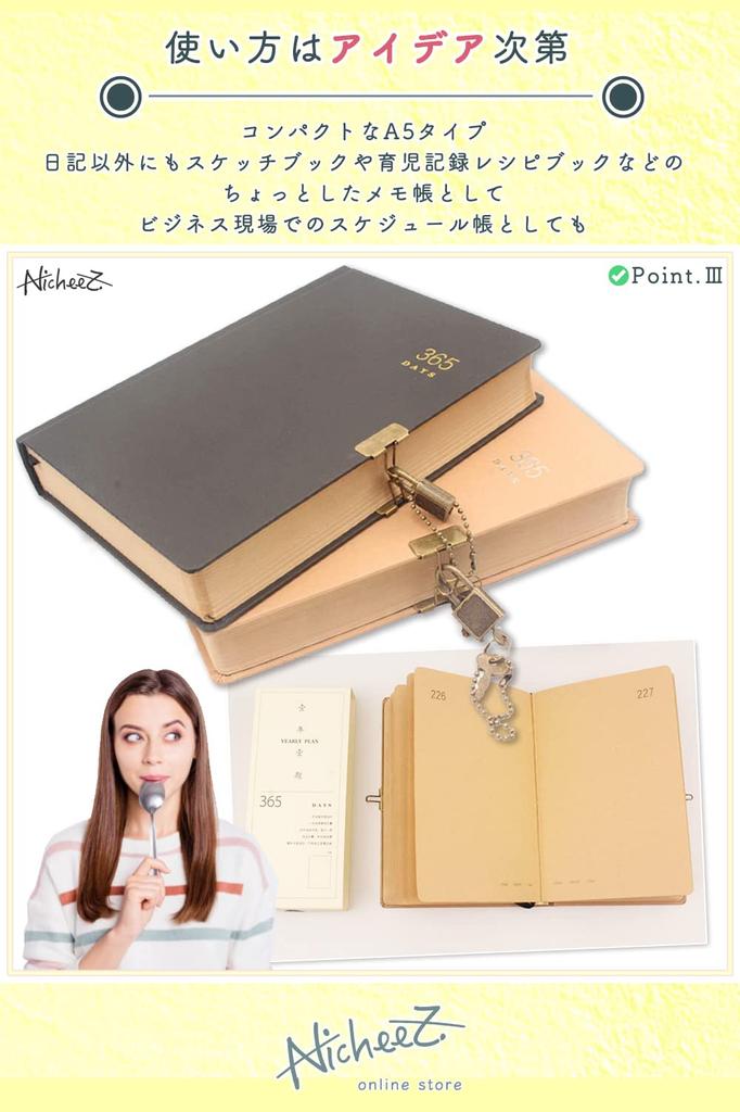 Nicheez Lockable 365-Day Diary, Antique Style (Black)