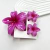 3Pcs/Set New Gradient Hair Claws Sweet Flower Acrylic Hawaiian Flower Hair Clip Plumeria Flower Clamp Ponytail Clip Summer