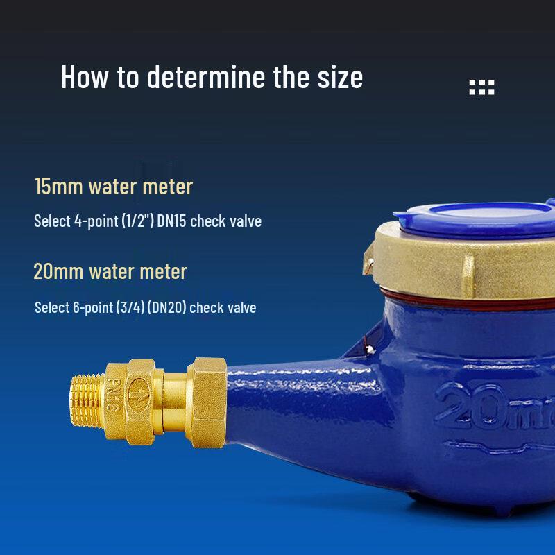 Jun Ding Ying 1-inch Water Meter Anti-Backflow Check Valve
