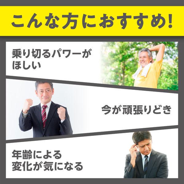 DHC Fermented Black Sesamin Premium 20 Days Supply with Citrulline, Maca, Zinc, CoQ10, Imidazole Dipeptide S2267