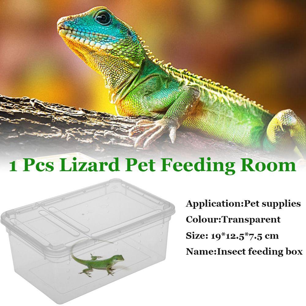 Reptile Frogs Tarantulas Snakes Breeding Insect Reptile Terrarium Living House Cage Feeding Box