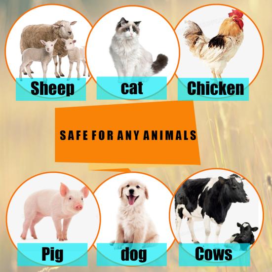 Спрей от блох для всех питомцев - 25 мл/50 мл, Быстрый эффект, Без остатка