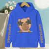 Capybaras Child Hoodies & Sweatshirts Cute Cartoon Capibara Print Children's Sweatshirt Hoody Boys Girls Kawaii Casual Tops