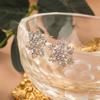 Elegant Winter Zircon Snowflake Stud Earrings for Women - Versatile Christmas Jewelry