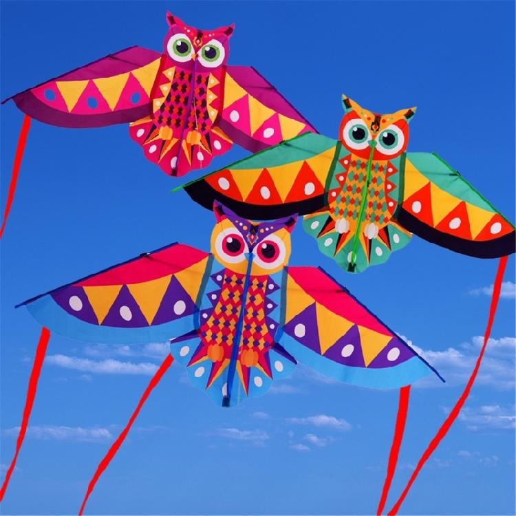 Owl Patterned Kites High Visibility Encourages Motor Skills Development Outdoor Exploration Gift