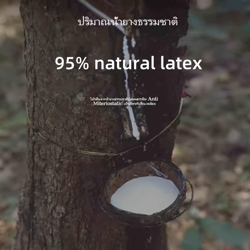 Латексная подушка Гладкая Удобная Подушка для сна Дышащая Прочная Эргономичная поддержка Латексная подушка для Спальни Общежития Отеля Постельные принадлежности