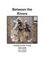 Книга Between the Rivers : Combat Action In Iraq 2003-2005