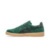 Asics Comfortable Unisex Shoes 1203A614-301