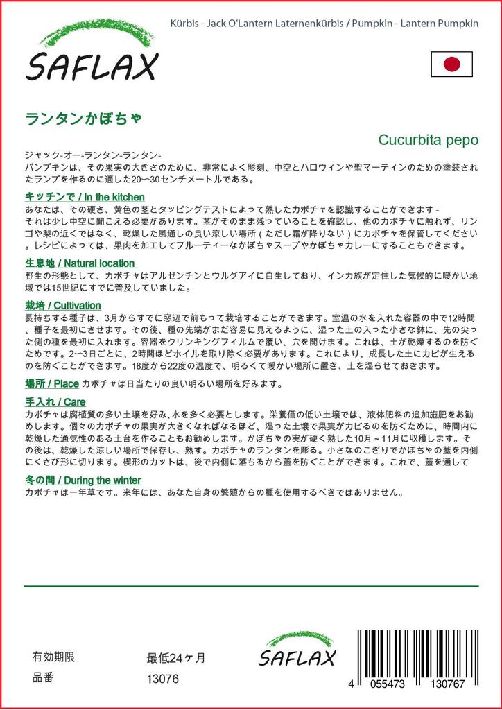 SAFLAX Тыква - Тыква-фонарь - 10 семян - Cucurbita pepo