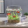Ultra Clear Round Fish Bowl Plastic Removable Desktop Fish Tank Ultra Clear Viewing Tank Small Aquarium Tabletop Ornament