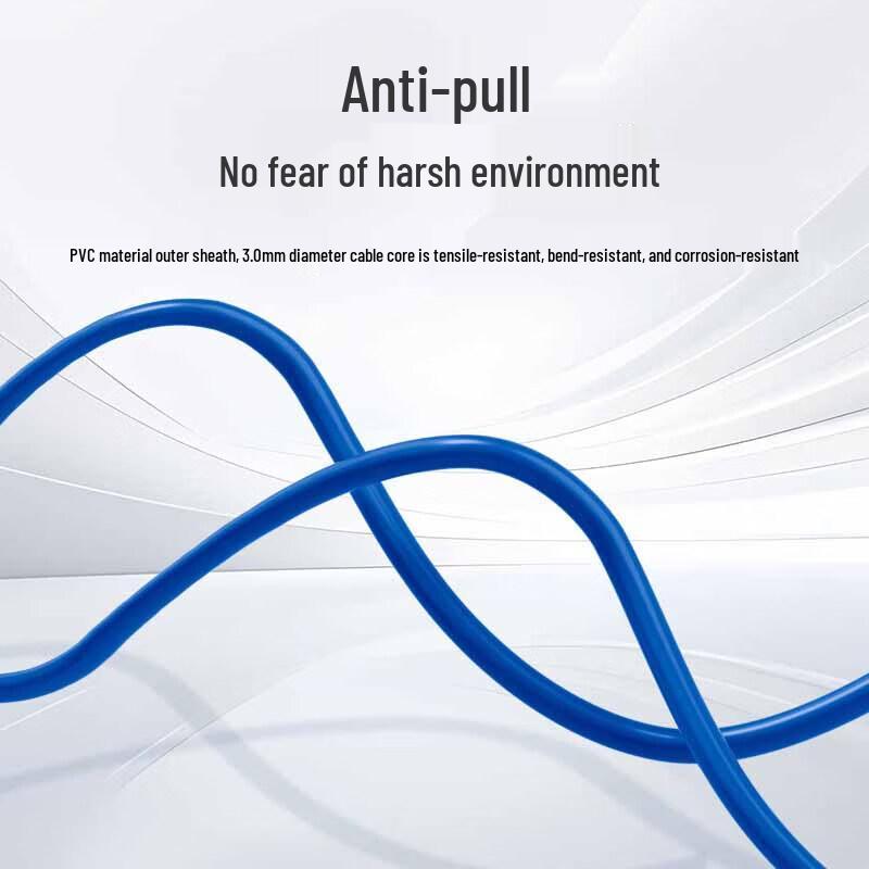 Rongweisheng Armored Dual-Core Single-Mode Fiber Optic Patch Cable