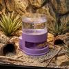 Detachable Reptiles Water Feeder Plastic Turtle Water Bowl Reptile Water Dispenser  Tank Landscape
