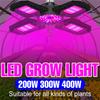 Светодиодный светильник для выращивания растений E27 Full Spectrum Hydroponic Lampara Panel Bombilla Grow Tent Bulb AC85-265V 200W 300W 400W