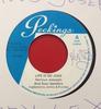 7-дюймовая пластинка NERIOUS JOSEPH & THE SOUL VENDORS , - Life Is No Joke / Bad Boys PTI045 Peckings Record 2008 UK Регги, Ска и Даб Б/У