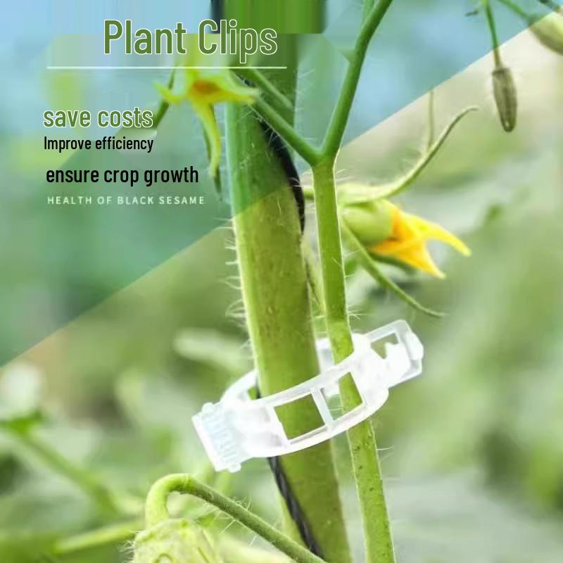 Greenhouse Vine Support Clips for Tomatoes & Cucumbers