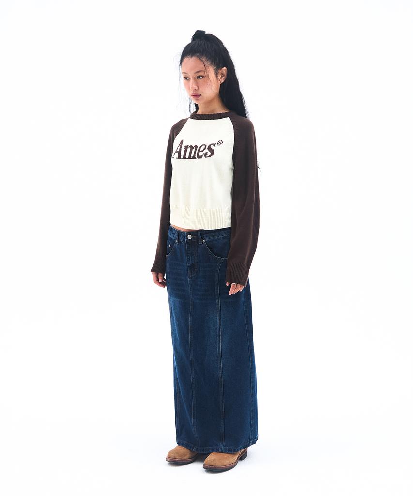 AMES-WORLDWIDE Basic Raglan Pullover Knit Brown