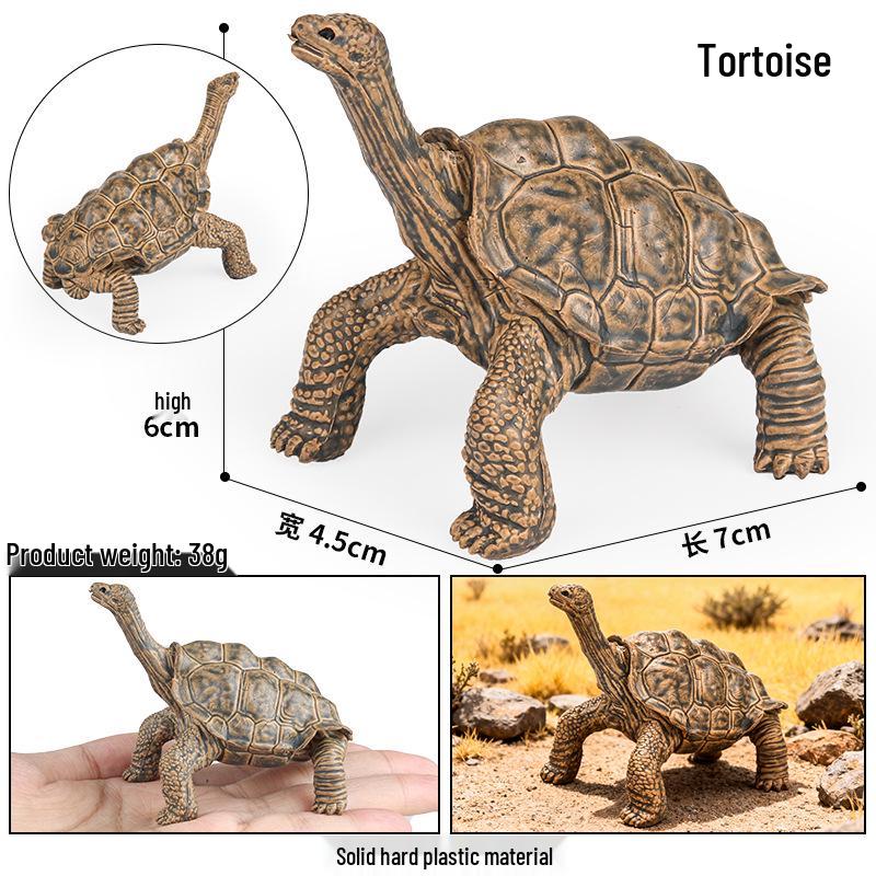 Ocean Wildlife Simulation Toy Set: Sea Turtle, Shark, Whale, Sea Lion, Tiger Shark, Manta Ray, Seal, Grouper.