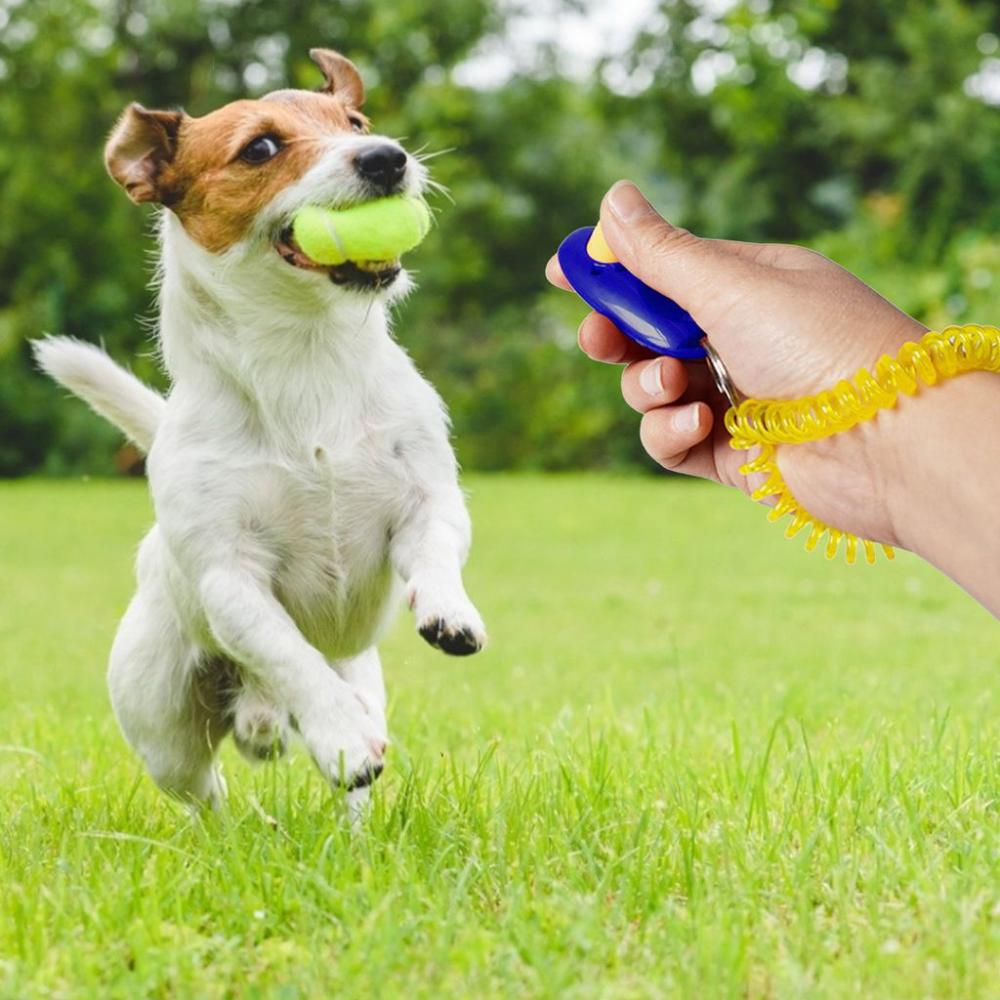 Animal Training Mini with Wrist Strap Dog Toy Dog Whistle Dog Clicker Puppy Training Accessories