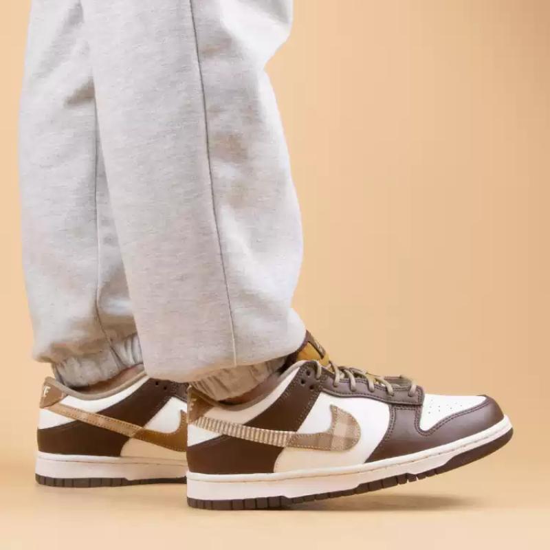 Nike Dunk Low 'Brown Plaid' GS Sneakers FV3653-191