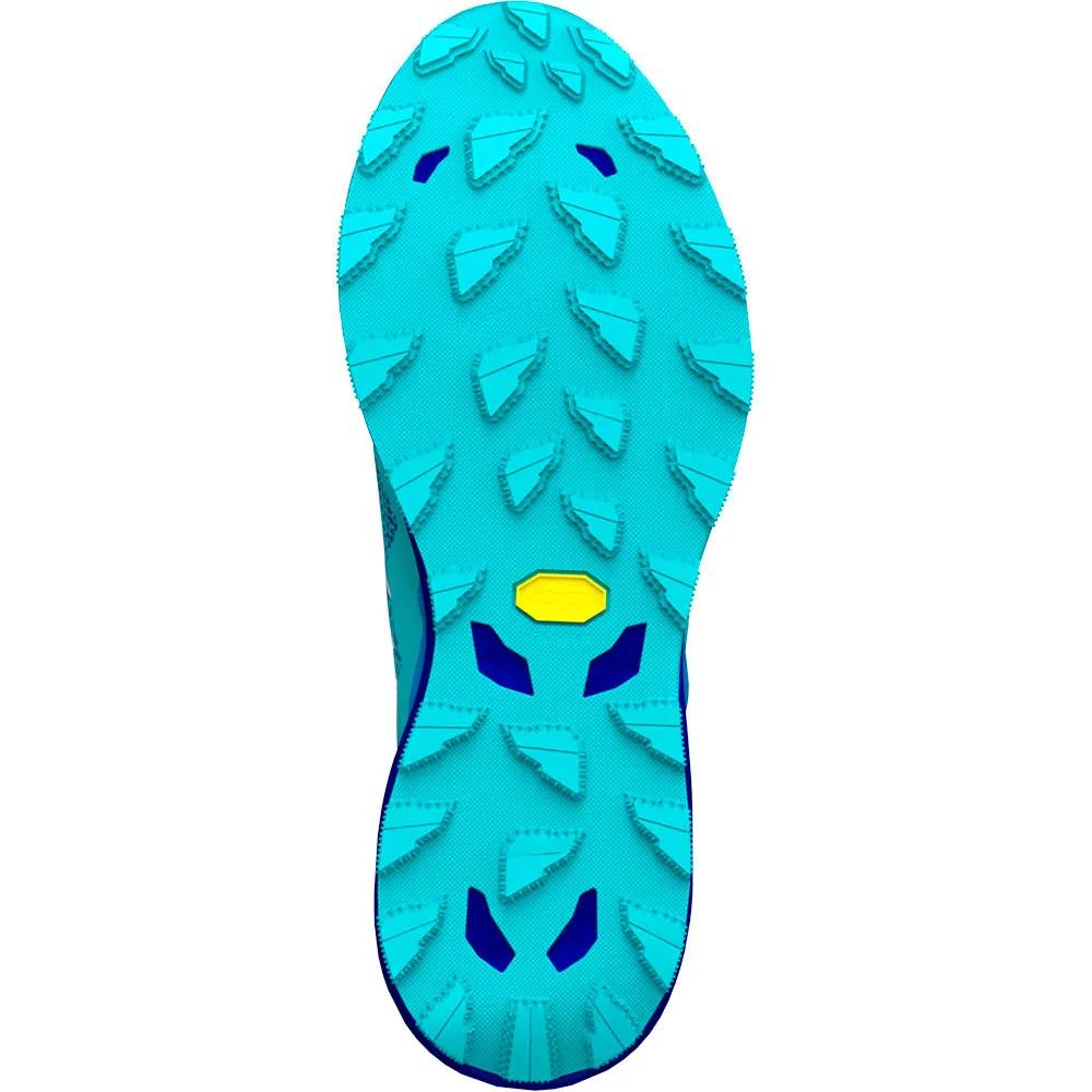 Mizuno Trail Running Shoes Wave Daichi 9