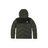 The North Face Мужская ветрозащитная пуховая куртка 4NEN-21L