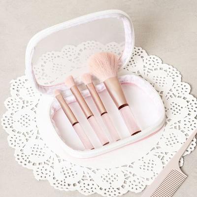 Сет из сетчатого мешочка и 4 кистей для макияжа