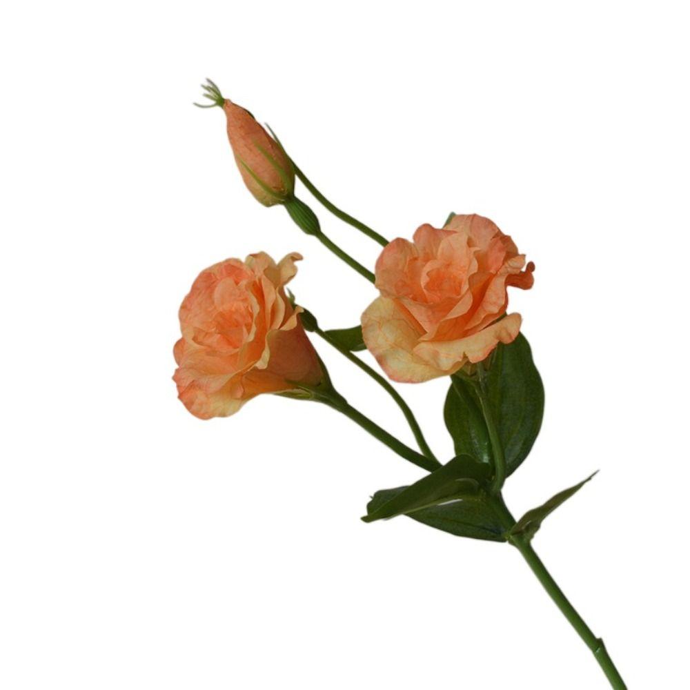 Искусственные цветы эустомы с эффектом Real Touch Шелковые цветы Свадебный букет Поддельные цветы эустомы Элегантный реалистичный искусственный букет