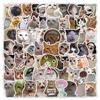 600 мультяшных наклеек с котятами: Водонепроницаемый декор для журнала, телефона, планшета и бутылки с водой.