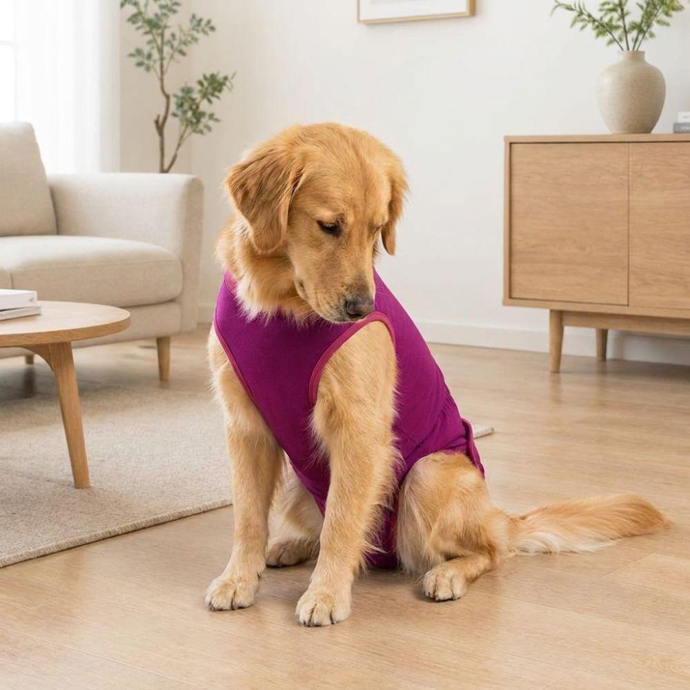 Adjustable Dog Anti Licking Shirt Soft Breathable Dog Jumpsuit Cat Recovery Suit Wound Protector