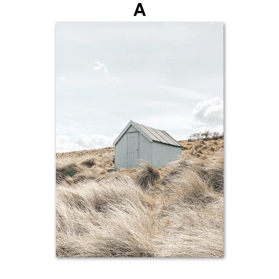 Beach Shell Starfish Bridge And Prints Wall Art Nordic Posters Canvas Painting Wall Pictures For Living Room Marine Style Decor