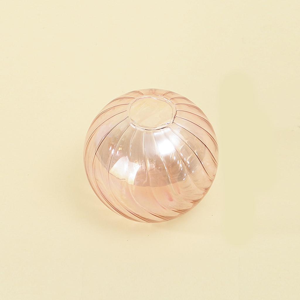 Multipurpose Clear Glass Ball Vases Small Hydroponic Pot Planter for Unique Terrariums Jar and Propagation Stations Display
