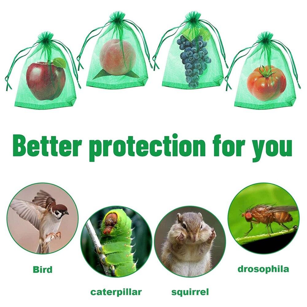 50Pcs Strawberry Grapes Fruit Grow Bags Netting Mesh Vegetable Plant Protection Bags for Pest Control Anti-Bird Garden Tools