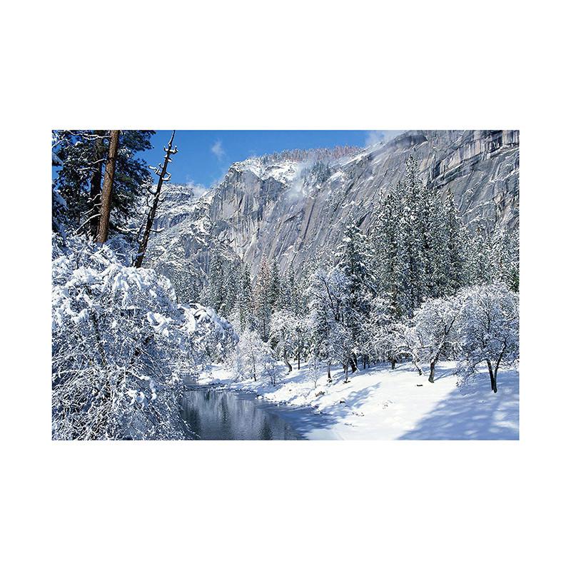 Фон на тему «Зимняя сказка», Рождественский фотофон, для вечеринок и праздничных фотосессий, Фотостудия