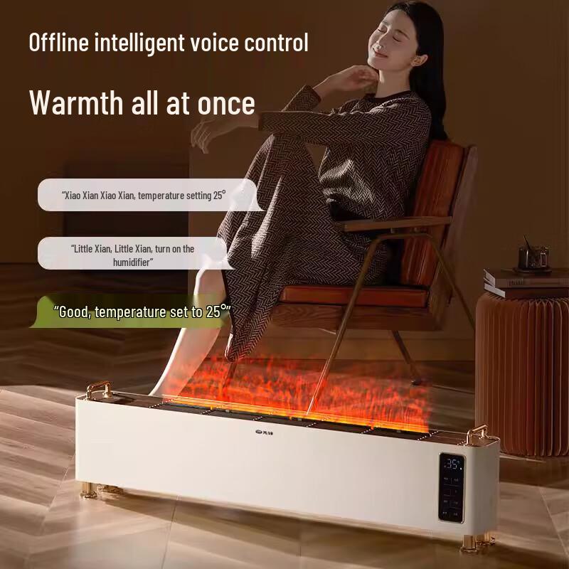 Pioneer DTJ-HY1R Graphene Baseboard Heater CN plug (adapter included)
