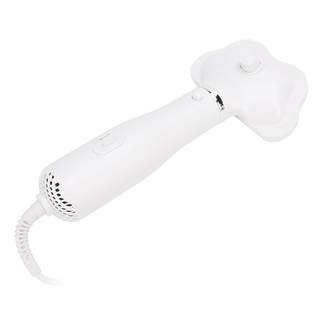 Pet Hair Dryer Brush Detachable Steel Needle Comb Low Noise Hot Air Blower for Dog Grooming and