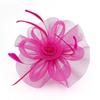 Bridal Fascinator Hats Tea Party Hair Accessories Vintage Hair Band  Women
