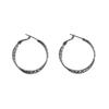 Niche fashion design sense cold wind earrings personality exaggerated light luxury high sense earrings versatile temperament earrings women