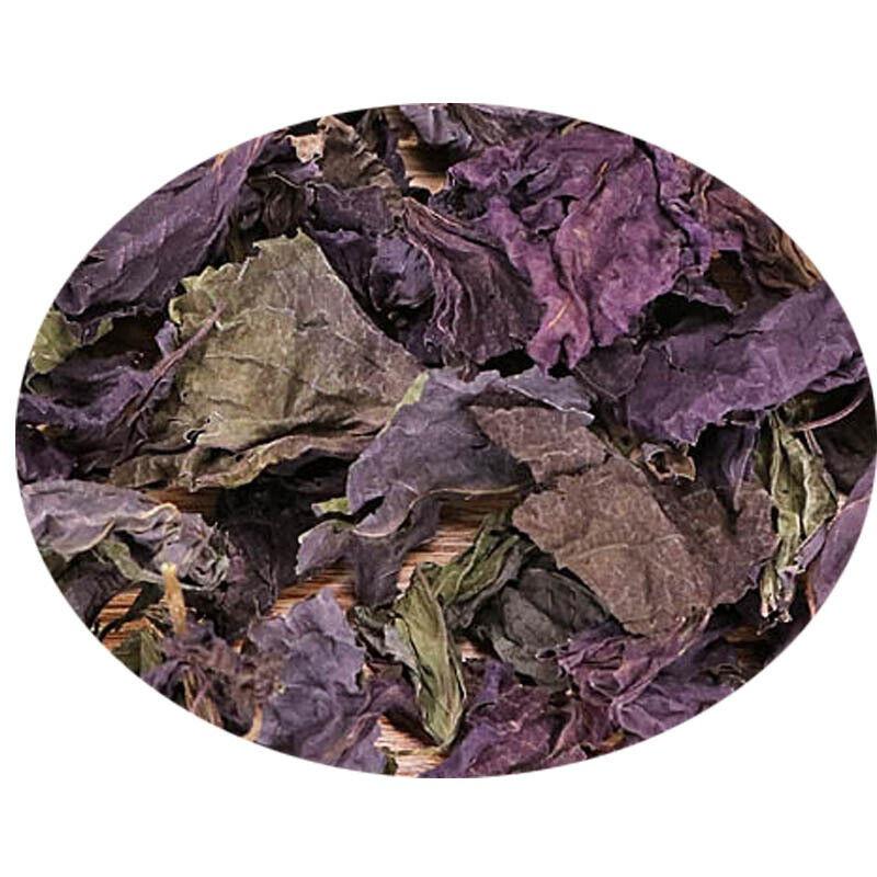 Perilla Leaf Herbal Medicine Perilla Leaf Perilla Leaf Perilla 500g/1.1lb