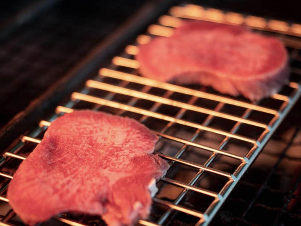 CAMPING MOON A4 Size Lightweight Bonfire Grill, Mesh Type, 2-Piece Set, Stainless Steel Grates, MTG-2G