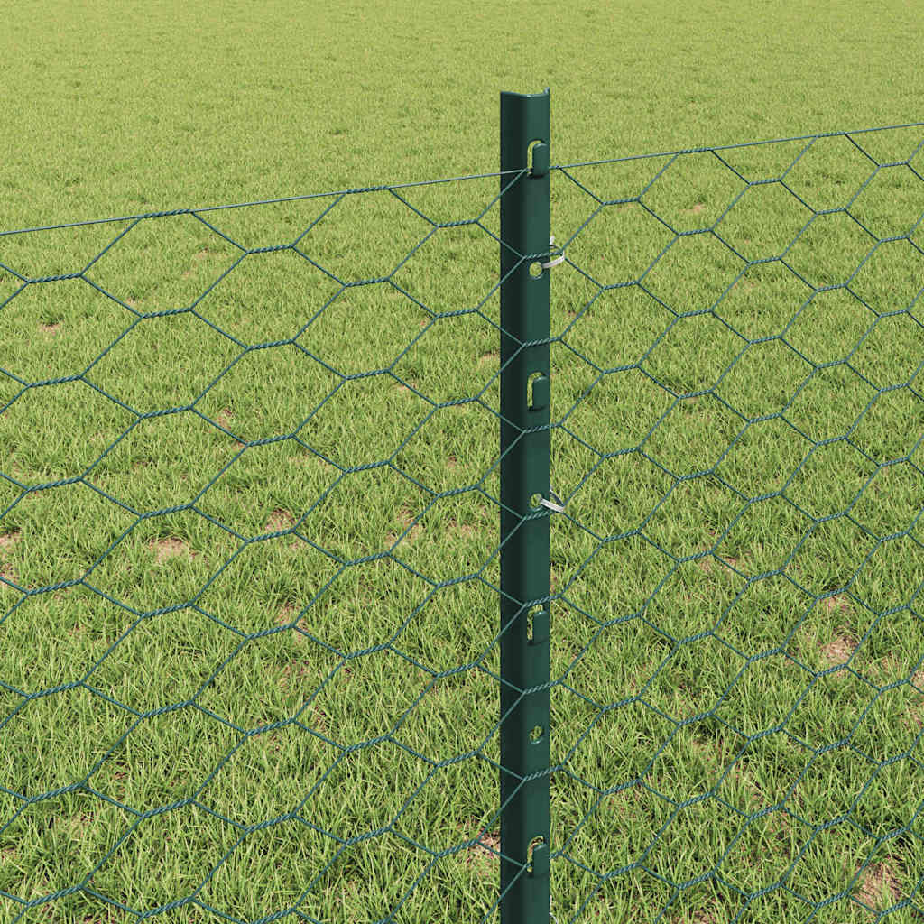 Welded Wire Fence 10 x 0.8 m (W x H)