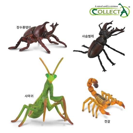 Collecta Insect Caption Box Set (4 Types) Figure Toy Model, Popular Toys In Korea