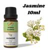Ananta Jasmine Essential Oil 10 ml – Floral Aroma Oil for Diffusers, Candles and Home Fragrance