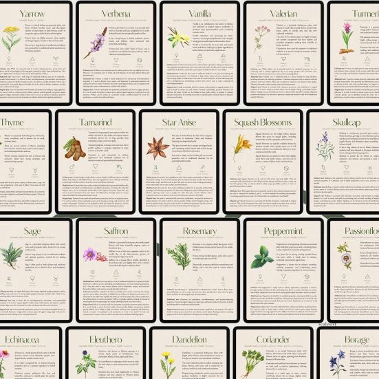 Справочник по травам 82 лекарственных растения Медицинское руководство по траволечению Растительные средства и рецепты Диспансер