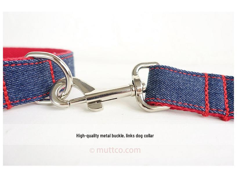 Custom Denim Blue Dog Leash - Innovative Pet Supplies