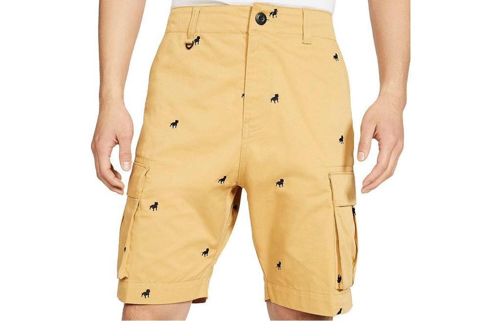 Nike Мужские шорты-карго хаки умеренные CQ7858-723