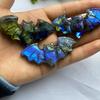 1pcs Labradorite Bat Figurine Healing Crystal Natural Gemstone Home Decor Ornament 6.2cm/2.44in High Quality Energy Stone