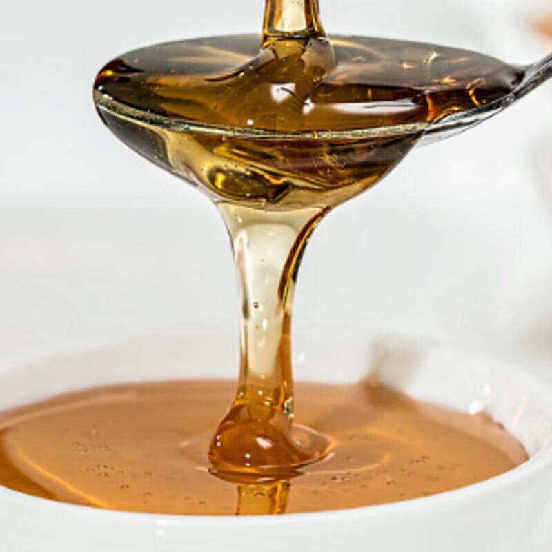 SUNDRY Pure Chaste Tree Honey 500g