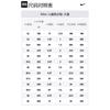 Nike Air Zoom Arcadia 2 SE GS 'Strike First' FB2356-100