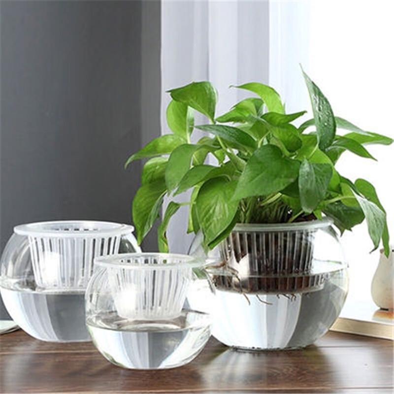 Self-Watering Round Hydroponic Vase