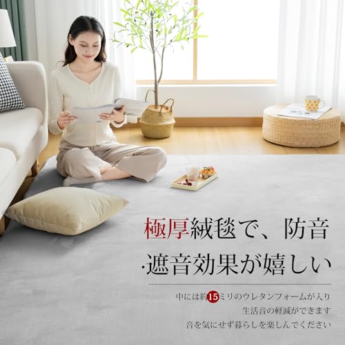 Sun Deco Rug Carpet, Memory Foam Rug, Round, Extra Thick 20mm, 190cm Diameter, I014-R190GY-A